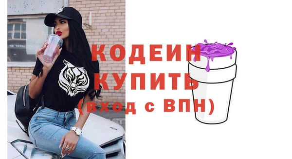 гашик Новодвинск