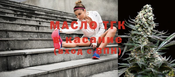 гашик Новодвинск
