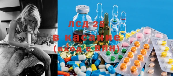 гашик Новодвинск