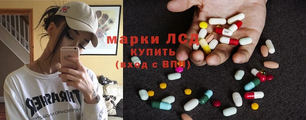 гашик Новодвинск