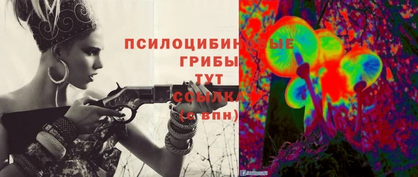 гашик Новодвинск
