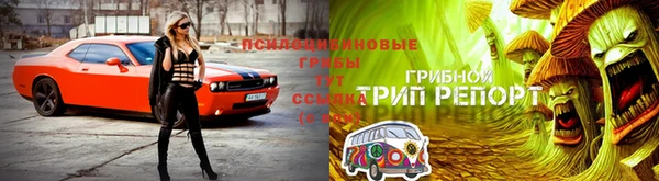 мдма Новокубанск