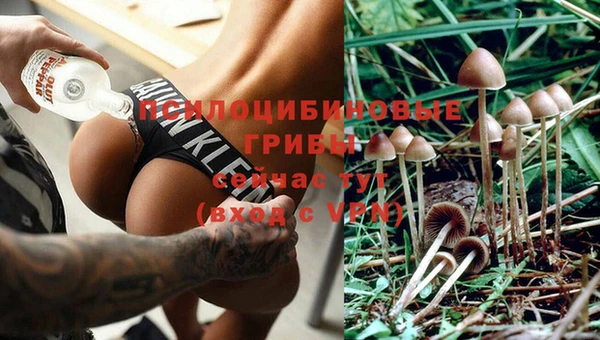 гашик Новодвинск