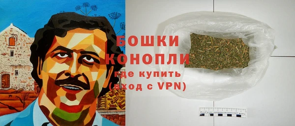 гашик Новодвинск