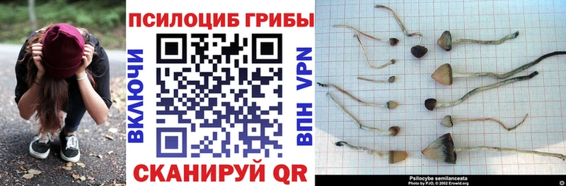Галлюциногенные грибы ЛСД  Старая Купавна 