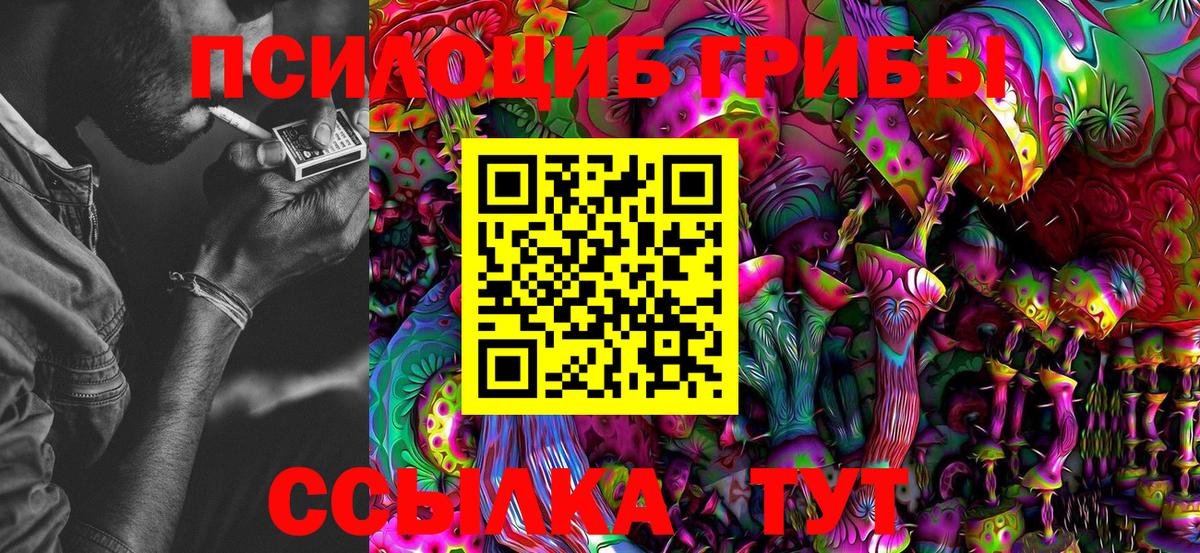 Псилоцибиновые грибы Psilocybine cubensis  купить   Старая Купавна  Вход с VPN 