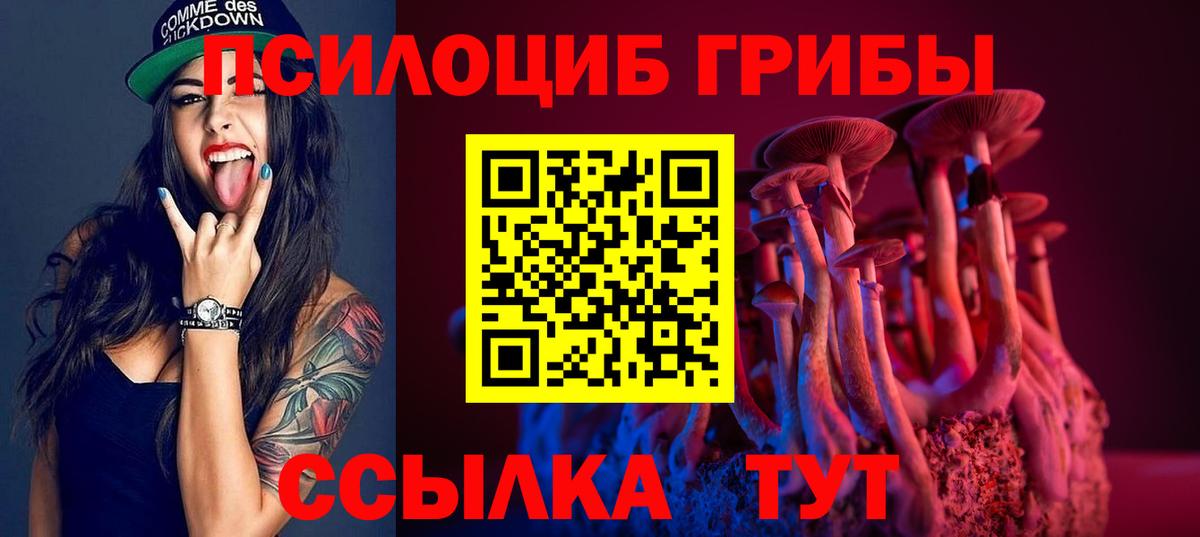 Псилоцибиновые грибы Psilocybine cubensis Старая Купавна